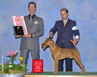 CH Morrigan's Don Vasco de Quiroga