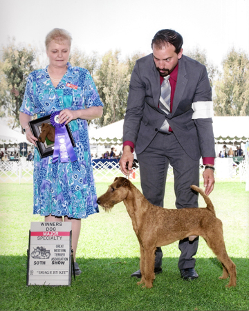 Avalon Lionheart of Donedaire