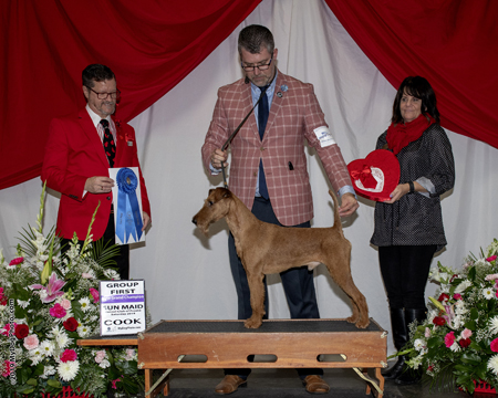 GCH Avalon Donedaire Scarlett O'Hara