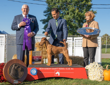 CH Sharob's Avalon Starry Starry Night